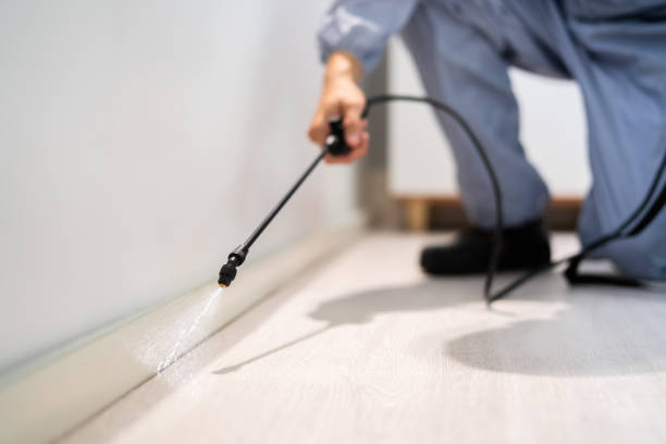 Licensed Termite Control service in Johnson County County, KS - Nex Pest Control