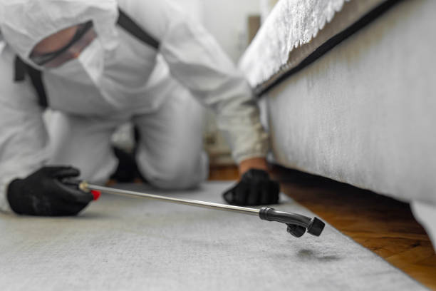 Professional Termite Control technician working in Johnson County County, KS